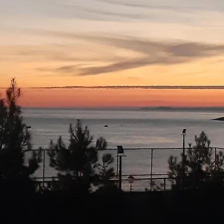 Soula's Sunshine Big Nea Karvali