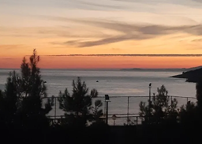 Soula's Sunshine Big Nea Karvali