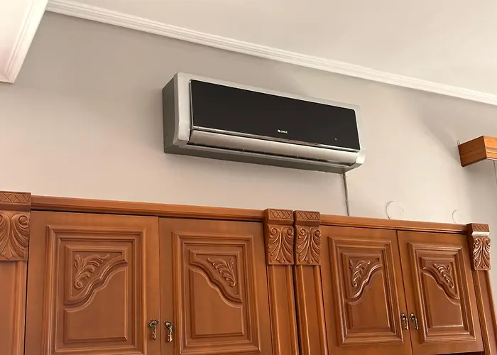 Soula's Sunshine Big * ني كارفالي